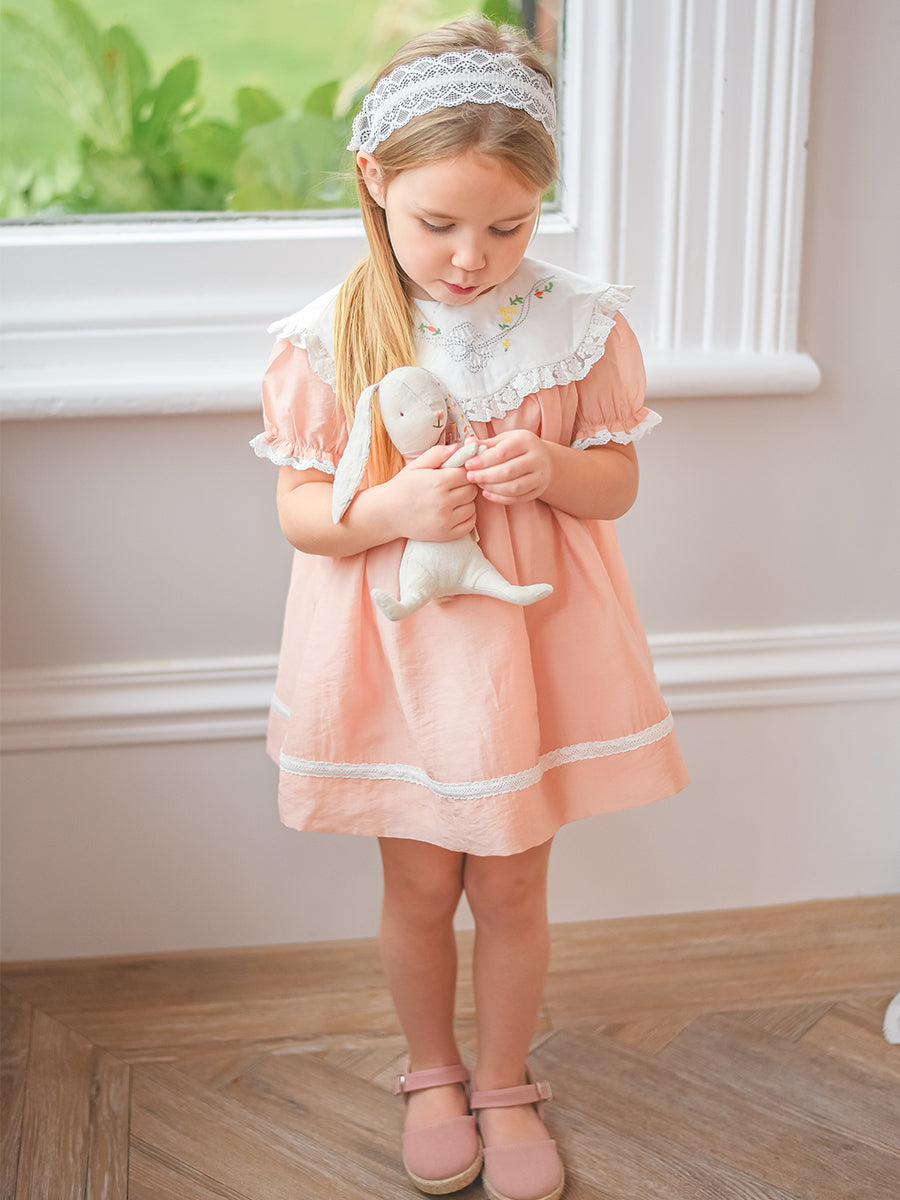 Livana Embroidered Dress,Blush Pink – view 5