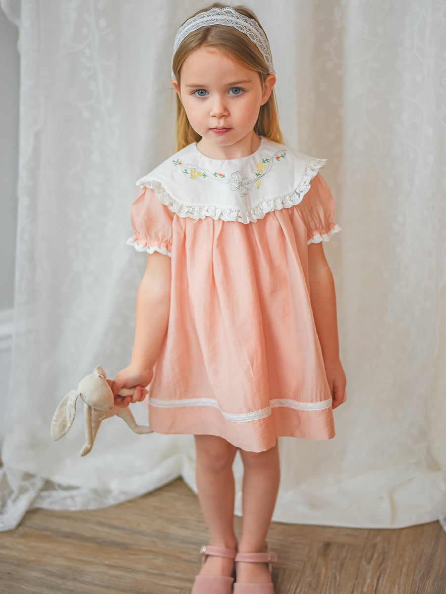 Livana Embroidered Dress,Blush Pink – view 6
