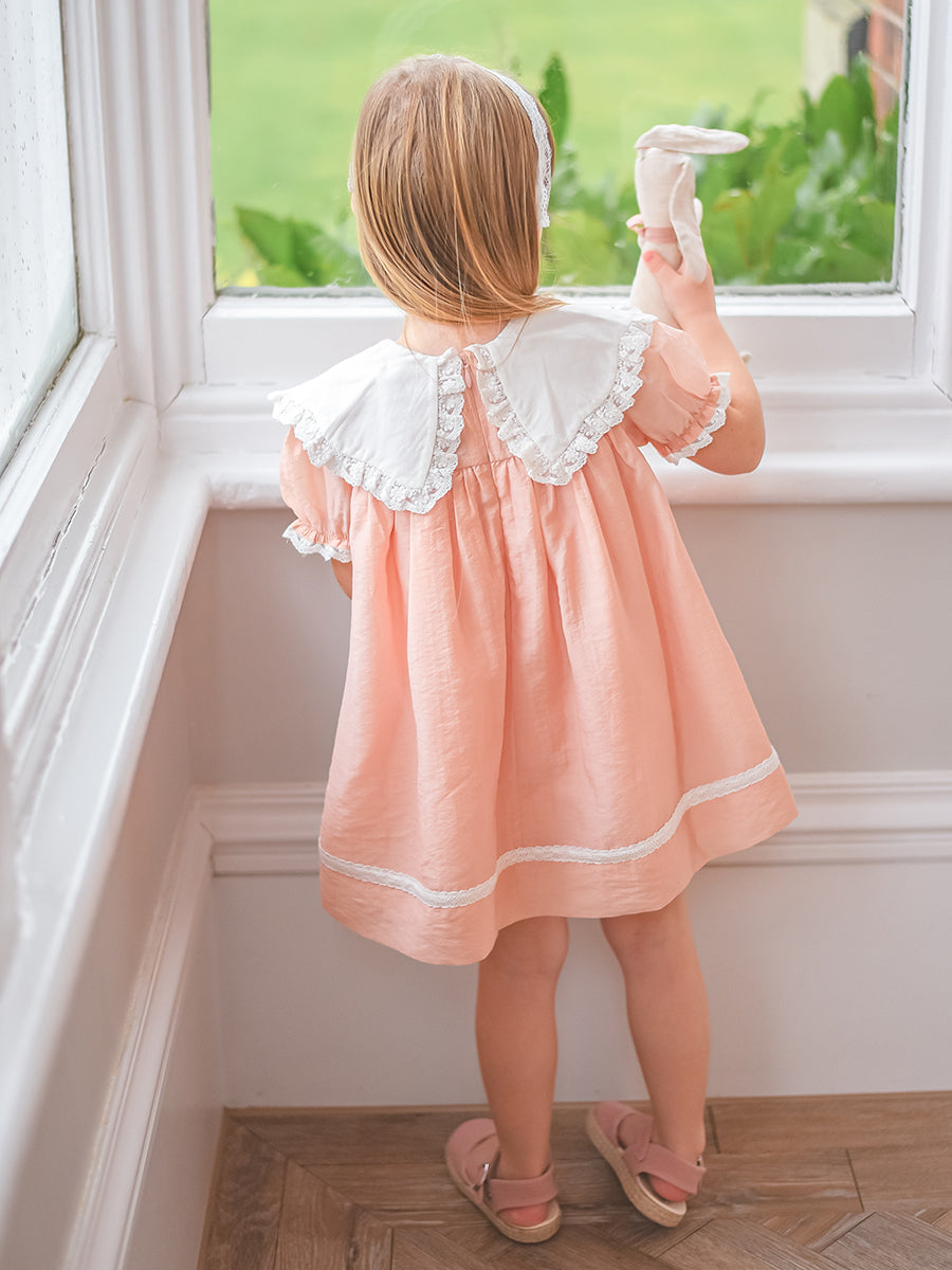 Livana Embroidered Dress,Blush Pink – view 3