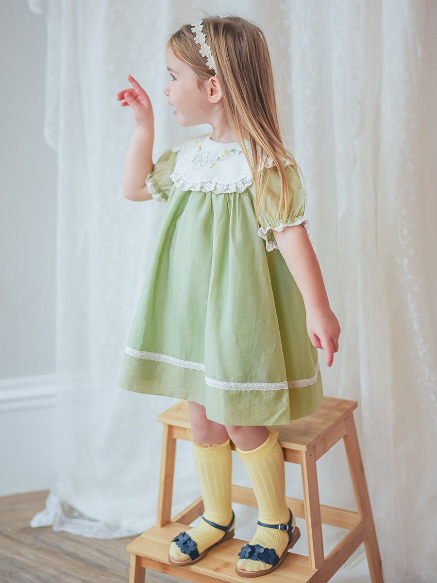 Livana Embroidered Dress,Baby Green – view 5