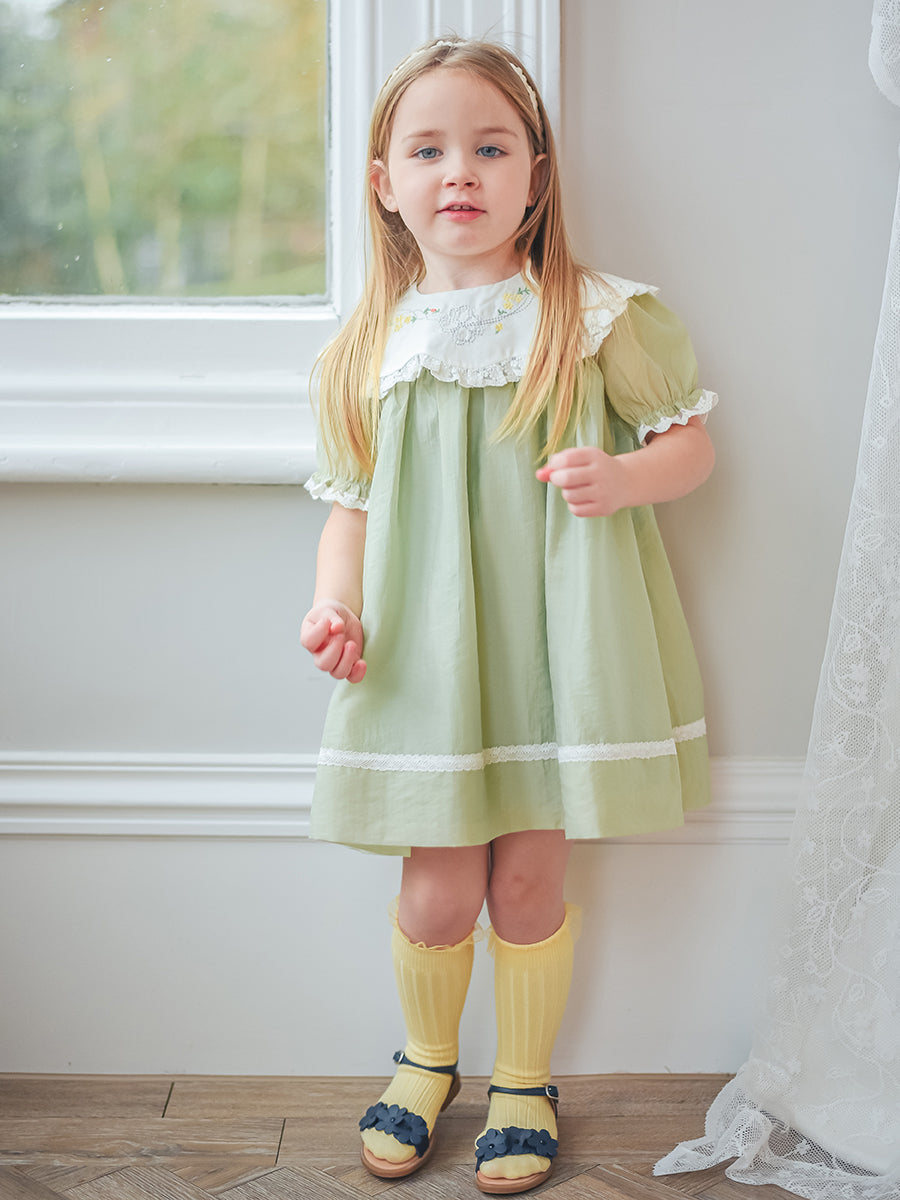 Livana Embroidered Dress,Baby Green – view 6