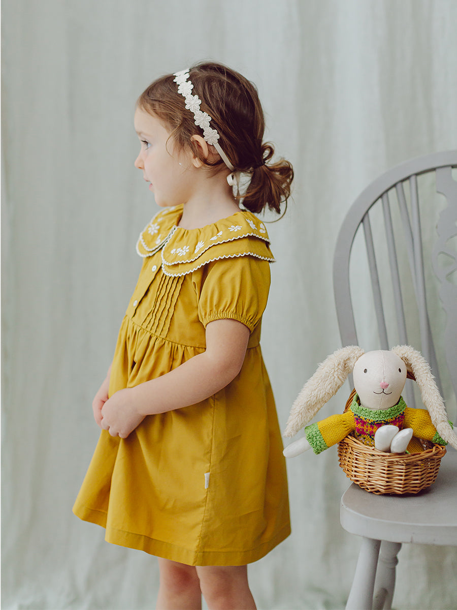 Havana Embroidered Dress, Turmeric – view 5