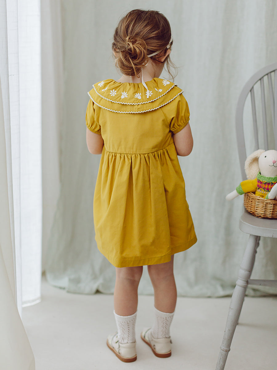 Havana Embroidered Dress, Turmeric – view 7