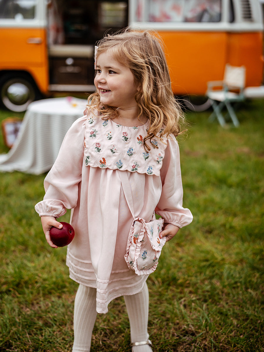 Ely Embroidered Dress, Light Rose – view 6