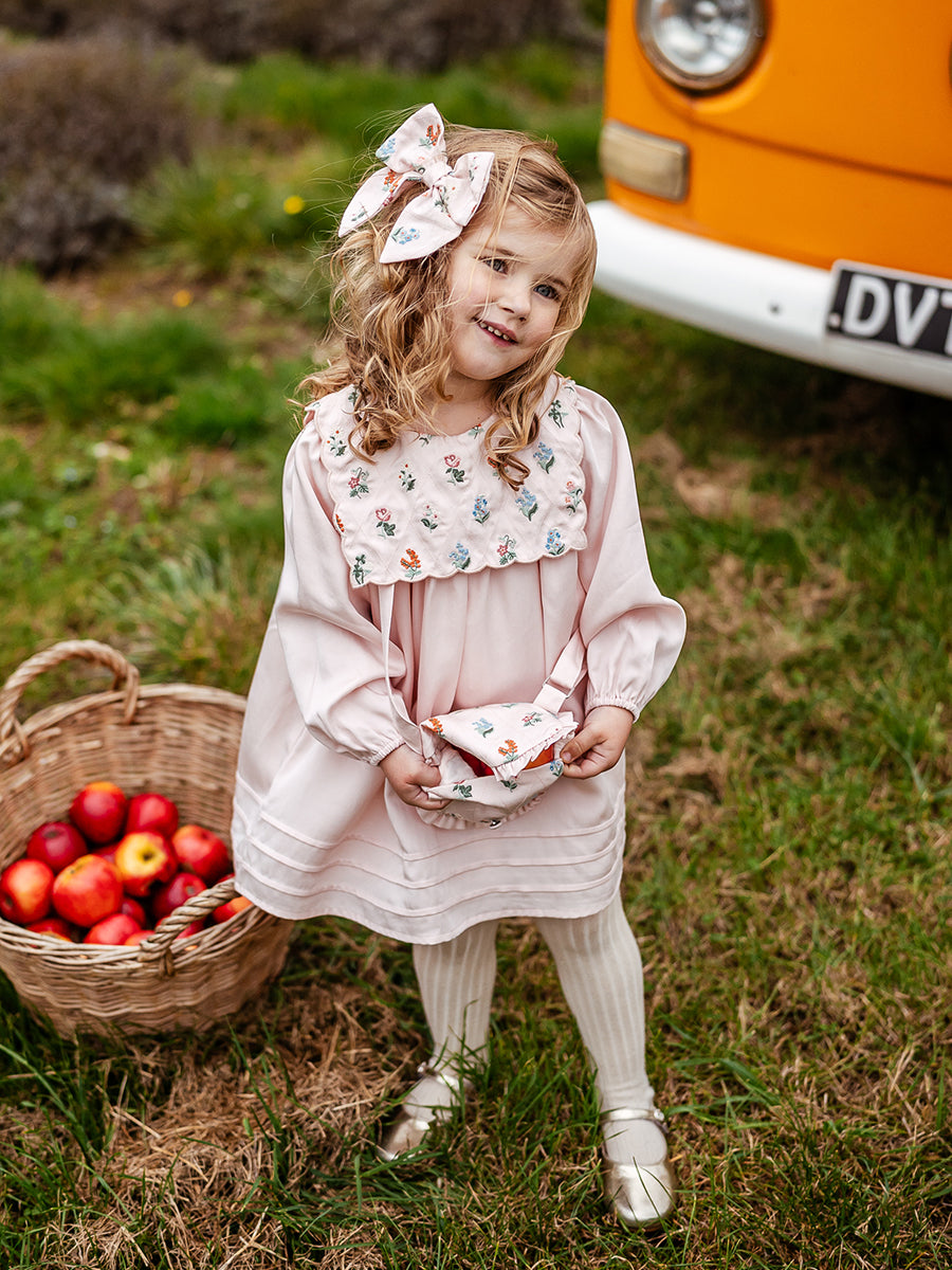 Ely Embroidered Dress, Light Rose – view 7