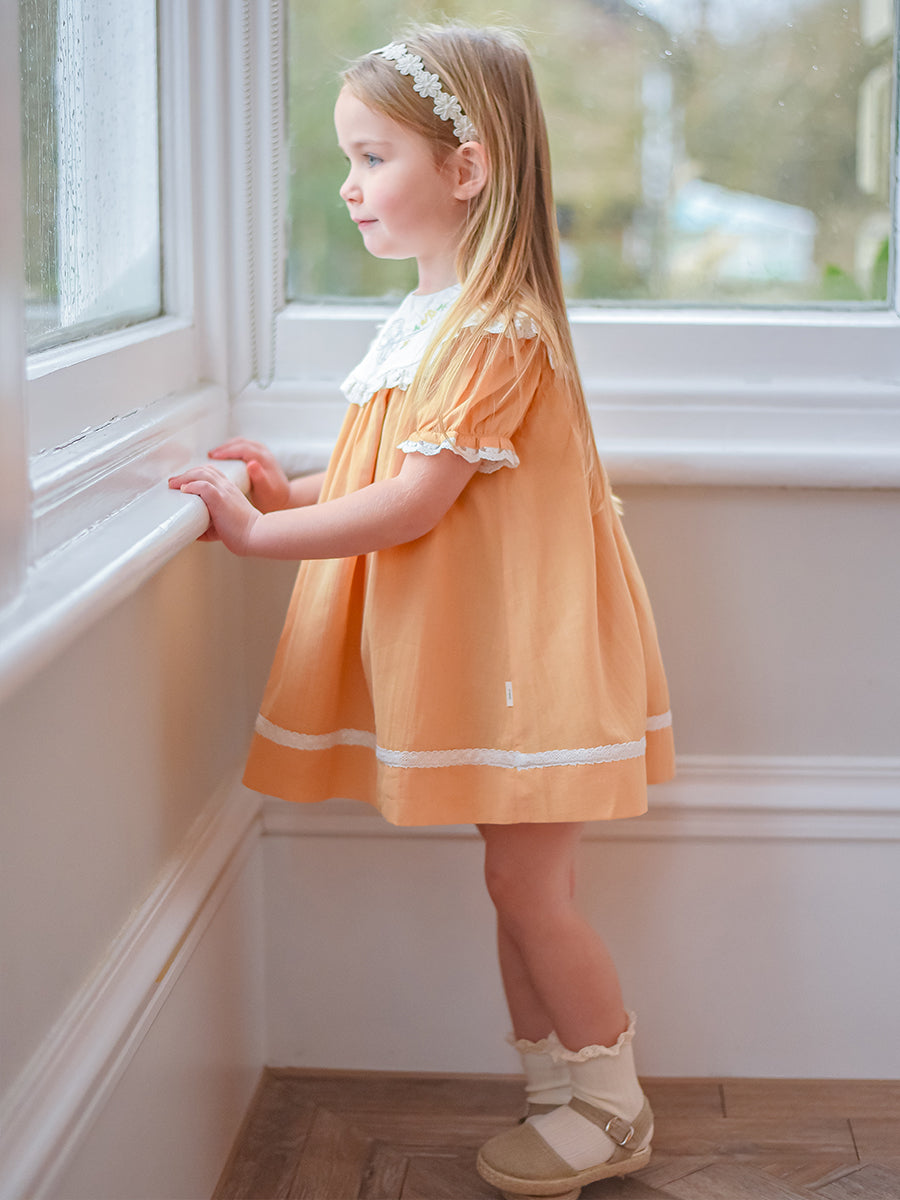 Livana Embroidered Dress,Butter Yellow – view 5