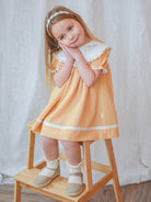 Livana Embroidered Dress,Butter Yellow – view 6