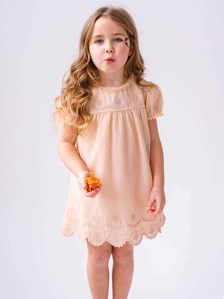 Cinderella Broiderie Anglaise Dress, Champagne – view 4