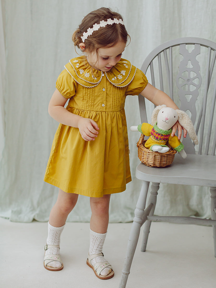 Havana Embroidered Dress, Turmeric – Happyology