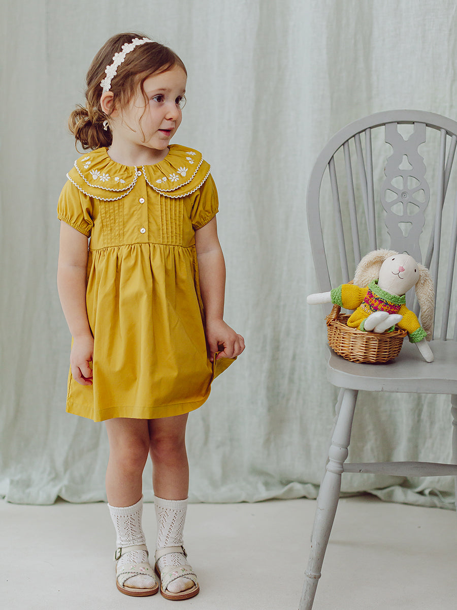 Havana Embroidered Dress, Turmeric – view 6