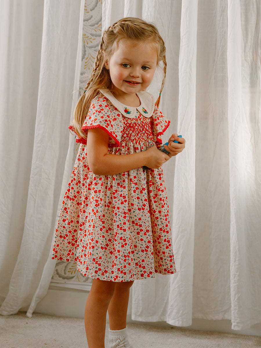 Odense Hand-Embroidered Dress, Watercolor Kousa, White – view 5